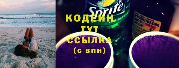 ПСИЛОЦИБИНОВЫЕ ГРИБЫ Михайлов