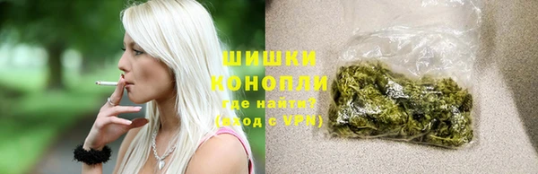 ПСИЛОЦИБИНОВЫЕ ГРИБЫ Михайлов