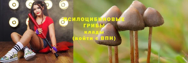 МДПВ Михайловка