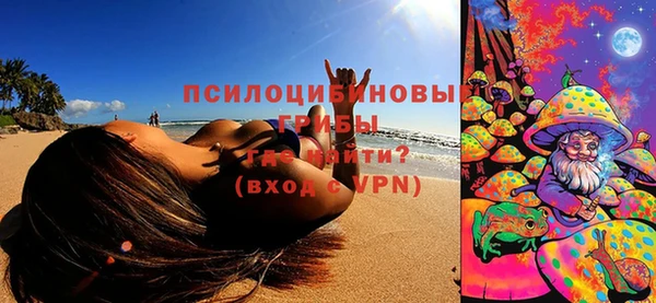 ПСИЛОЦИБИНОВЫЕ ГРИБЫ Михайлов