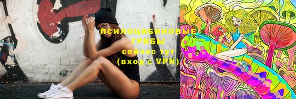 МДПВ Михайловка