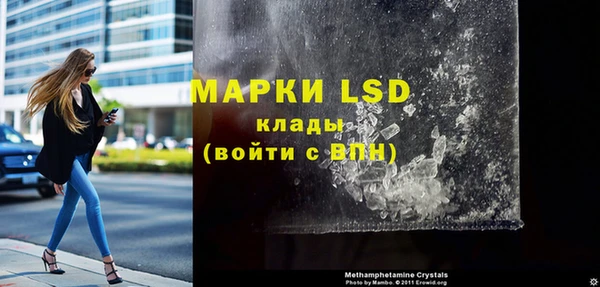 ПСИЛОЦИБИНОВЫЕ ГРИБЫ Михайлов