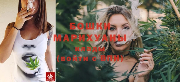 ПСИЛОЦИБИНОВЫЕ ГРИБЫ Михайлов