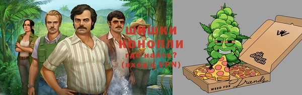 ПСИЛОЦИБИНОВЫЕ ГРИБЫ Михайлов